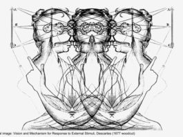 Borderline Kişilik Bozukluğunda Şema Terapi İle Tedavinin Tanımlanması